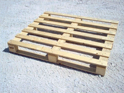 pallet6