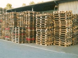 pallet7